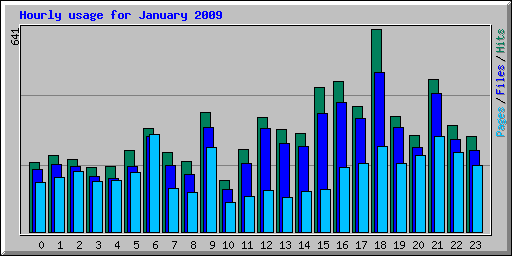 Hourly usage for January 2009